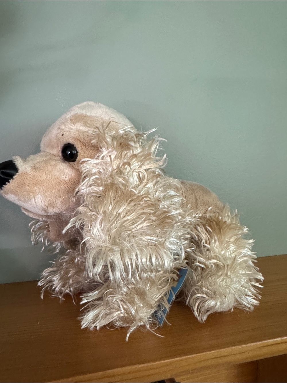 Classic, retired Ganz Webkinz American Cocker Spaniel plush (Model HM202)!